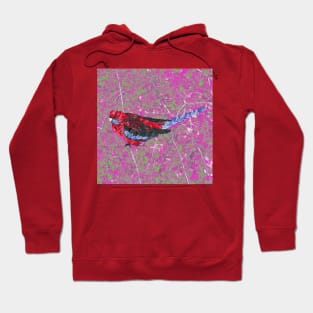 Marbled Bird Collage - Crimson Rosella #2 Hoodie